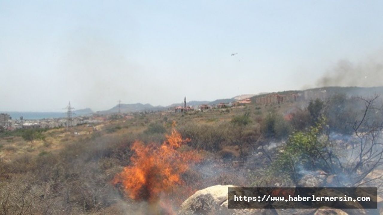 Silifke’de çıkan yangında 30 dönüm arazi kül oldu