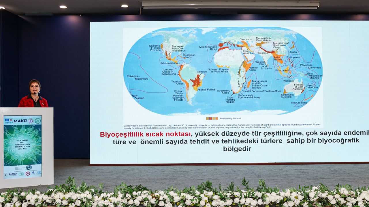 Ramsar Sulak Alanları Çalıştayı yapıldı
