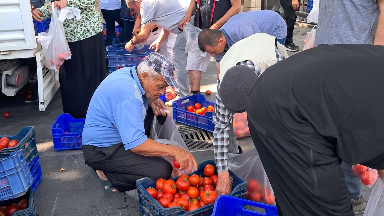 Alıcı bulamadığı 4 ton domatesi ücretsiz dağıttı