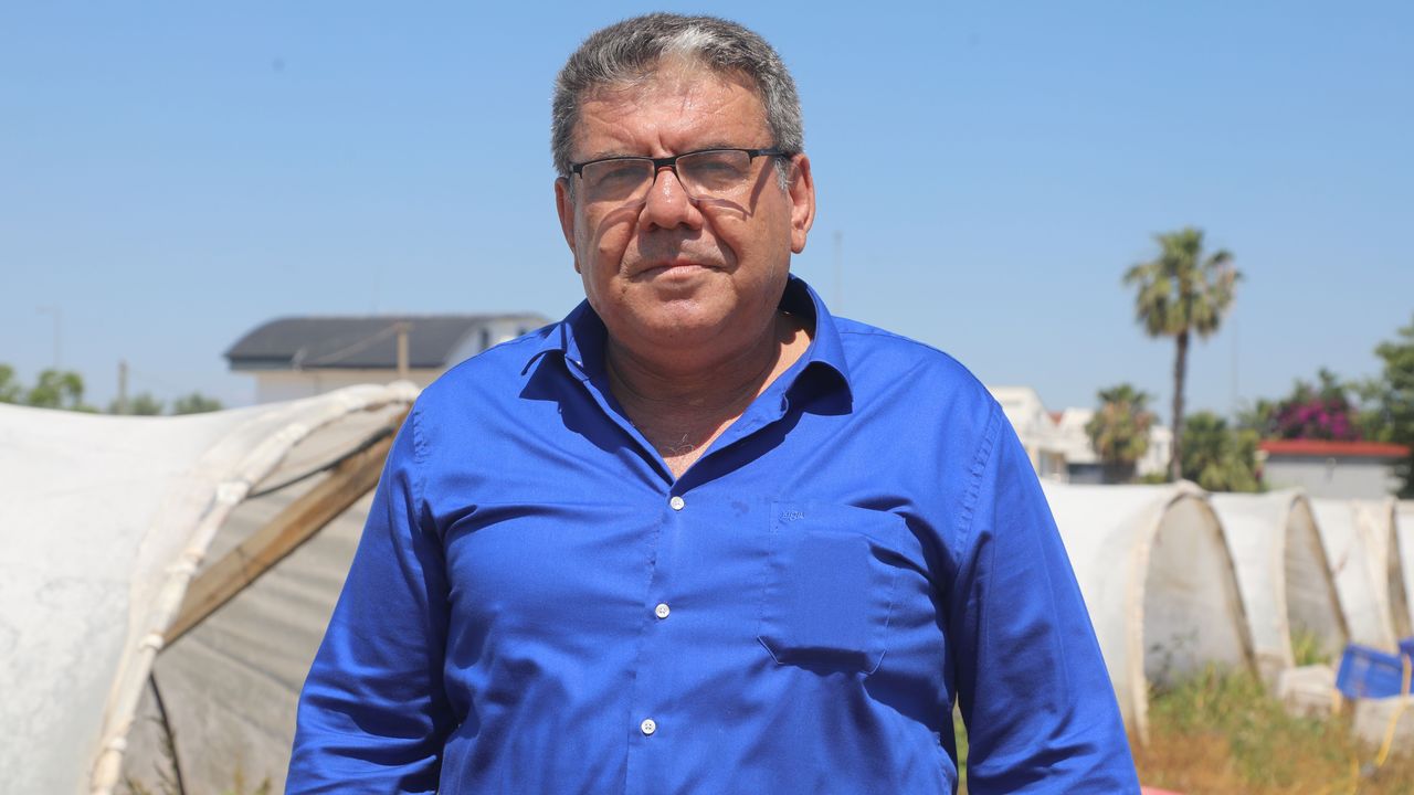 Antalya'da çilekte son hasat zamanı