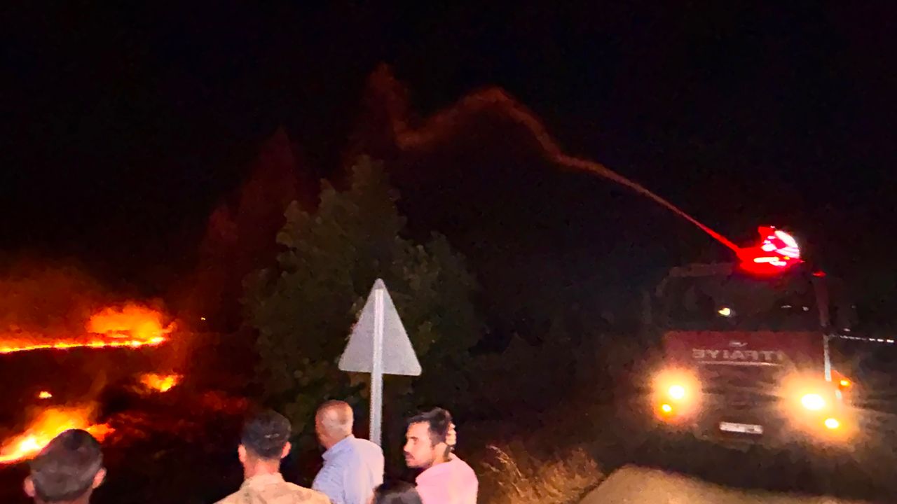 Hatay'da anız yangını, zeytin bahçelerine zarar ve