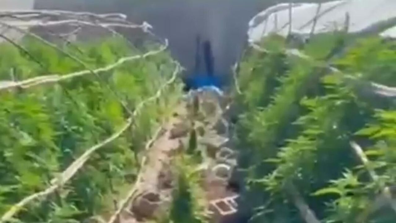 Hatay'da uyuşturucu operasyonu: 6 kişi tutuklandı