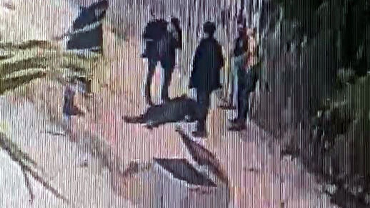 Kendisine bıçak çekeni kaldırım taşıyla öldüren engelliye ta
