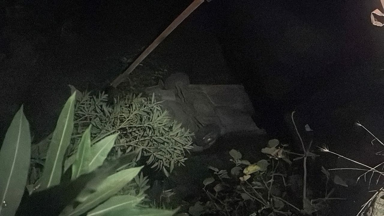 Köprüden dere yatağına düşen otomobilin sürücüsü yaralandı