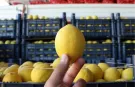 Sabah Aç Karnına Limonlu Su İçenler Bunu Öğrenince Şaşırıyor - Uzmanlardan Dikkat Çeken Açıklama