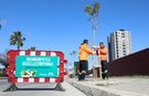 Mersin'de ağaçlandırma kampanyası