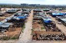 Başkan Yıldız: Toroslar'a yakışan kalıcı ve modern bir kurban satış alanı şart
