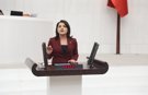 CHP’li Gülcan Kış’tan Ekonomi Çıkışı: “Tarlada İthalat, Cepte Borç Var”