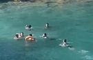 Mersin'de deniz ortasında sopalı kavga kamerada