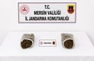 Mersin'de uyuşturucu operasyonunda 2 tutuklama