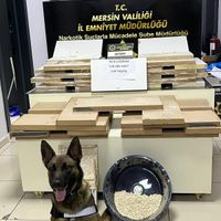 ASAYİŞ