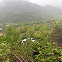 Güvenlik