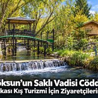 YAŞAM