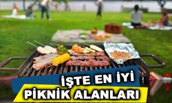 Edirne'de bulunan en iyi piknik alanları