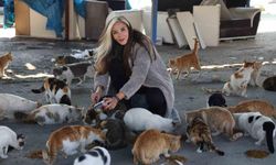 Fatma öğretmen, enkaz kentin sokak hayvanlarına umut oldu