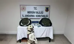 Mersin'de Uyuşturucu Operasyonu: 3 Kişi Gözaltında, 1 Tutuklama