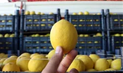Sabah Aç Karnına Limonlu Su İçenler Bunu Öğrenince Şaşırıyor - Uzmanlardan Dikkat Çeken Açıklama