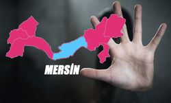 Mersin'in Silahlı Şiddet Olayları sıralaması yayınladı! İşte o Rapor