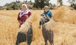 Toplumların Kalkınmasında Kadın Çiftçilerin Rolü: 15 Ekim Dünya Çiftçi Kadınlar Günü