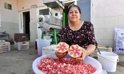 Mersin'de Üreticiye Teknolojik Destek: Nar Taneleme Makinesi