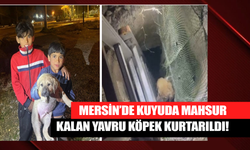 Mersin’de Kuyuda Mahsur Kalan Yavru Köpek Kurtarıldı!