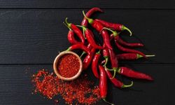 Acı biber sadece dil değil vücudu da yaktı! Metabolizma, ağrı, kalp, sindirim ve bağışıklık üzerinde yarattığı değişim!