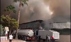 🔥 Mersin'de Elektronik Fabrikasında Korkutan Yangın! TOMA ve İtfaiye Seferber Oldu