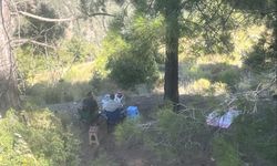 Mersin Erdemli’de Ormanda Piknik Yapan 4 Kişiye Ceza Kesildi