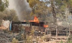 Silifke’de Orman Alevlerine Karşı Büyükşehir Seferberliği