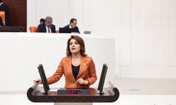 Vekil Kış’tan Sert Çıkış: “Sözde İklim Yasası Türkiye’ye İhanettir”