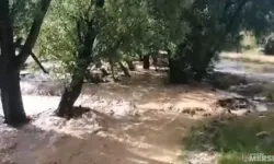 Mersin’de Sağanak Yağış Arı Kovanlarını Vurdu! İsken Deresi Taştı