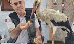 Yangından kaçtı, Anamur’da şefkat buldu