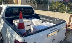 Tarsus’ta 250 Kilogram Sağlıksız Balık İmha Edildi