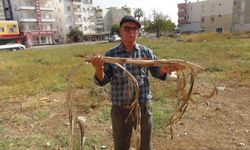 Mersin Silifke’nin Su Kahini: “Su Varsa Elektrik Çarpıyor”