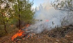 Mersin Bozyazı’da Orman Yangını Kontrol Altına Alındı