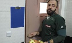 Bitkin halde bulunan yavru ayıya özel bakım