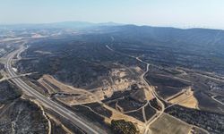 Çanakkale'de yanan alanların yeniden rehabilitasyonu için çalıştay