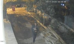 Osmaniye'de mavi yumurtlayan özel cins tavuk hırsızlığı kamerada