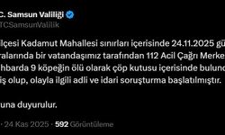 Samsun'da 9 köpek tabanca ile vurularak öldürüldü, Valilik açıklama yaptı