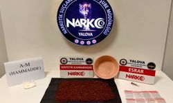 Yalova'da 25 gün içinde yapılan uyuşturucu operasyonlarında 12 şüpheli tutuklandı