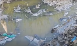 Mersin’de Fabrika Atıkları Çevreyi Zehirliyor