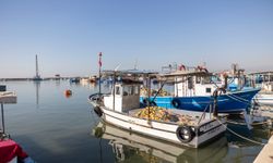 Mersin Büyükşehir’den Akdeniz’i Koruyacak Yeni Proje