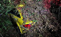 Mersin’de Otomobilin Üzerine Ağaç Devrildi