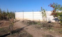 Adana'da yol kenarında kadın cesedi bulundu