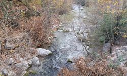 Doğa tutkunlarının yeni rotası; Karanlıkdere Kanyonu