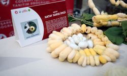 Hatay'ın coğrafi işaretli ürün sayısı, 7 yeni tescille 57'ye çıktı