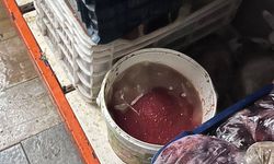 Soğuk hava deposundaki 574 kilo bozuk ürün imha edildi