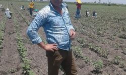 Sokak düğününde karşılaşan husumetliler silahla çatıştı: 1 ölü, 1 yaralı / Ek fotoğraf