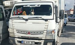 Yaya geçidinde kamyonet çarptı