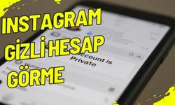 Web Postegro ile Gizli Profilleri Görüntüle